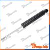 Amortisseur de suspension arrière pour CITROËN | A-CT-057, 316936